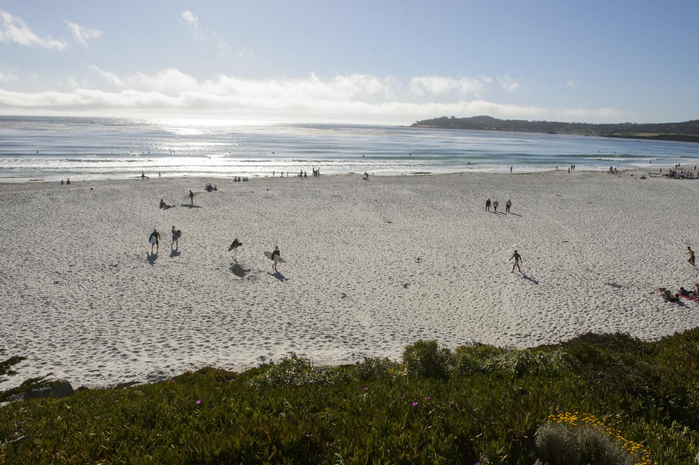 Carmel Beach visitors
