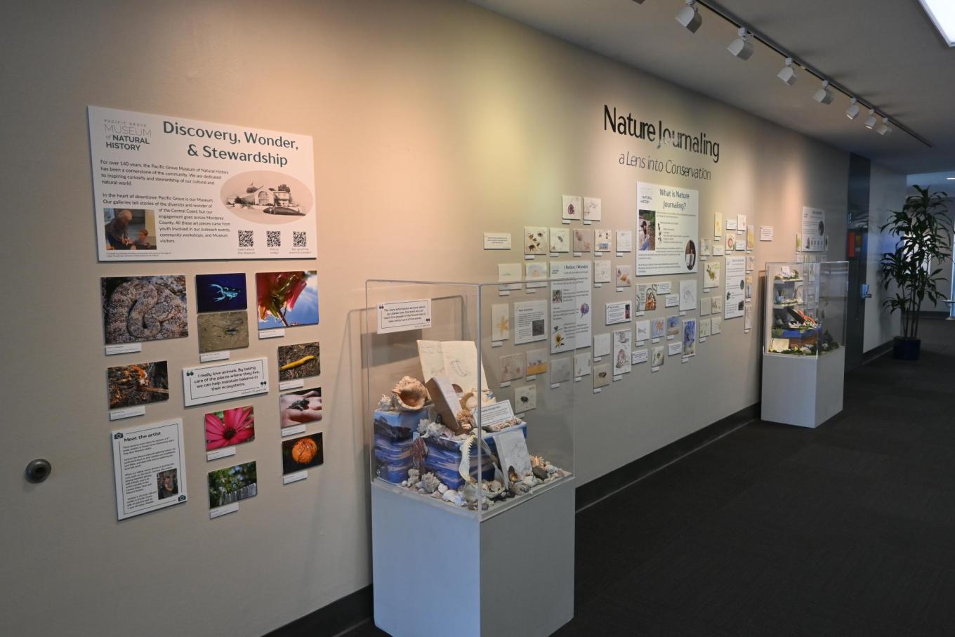 In collaboration with the Pacific Grove Museum of Natural History, the Monterey Regional Airport presents a new temporary youth art exhibit with a focus on nature conservation and journaling.