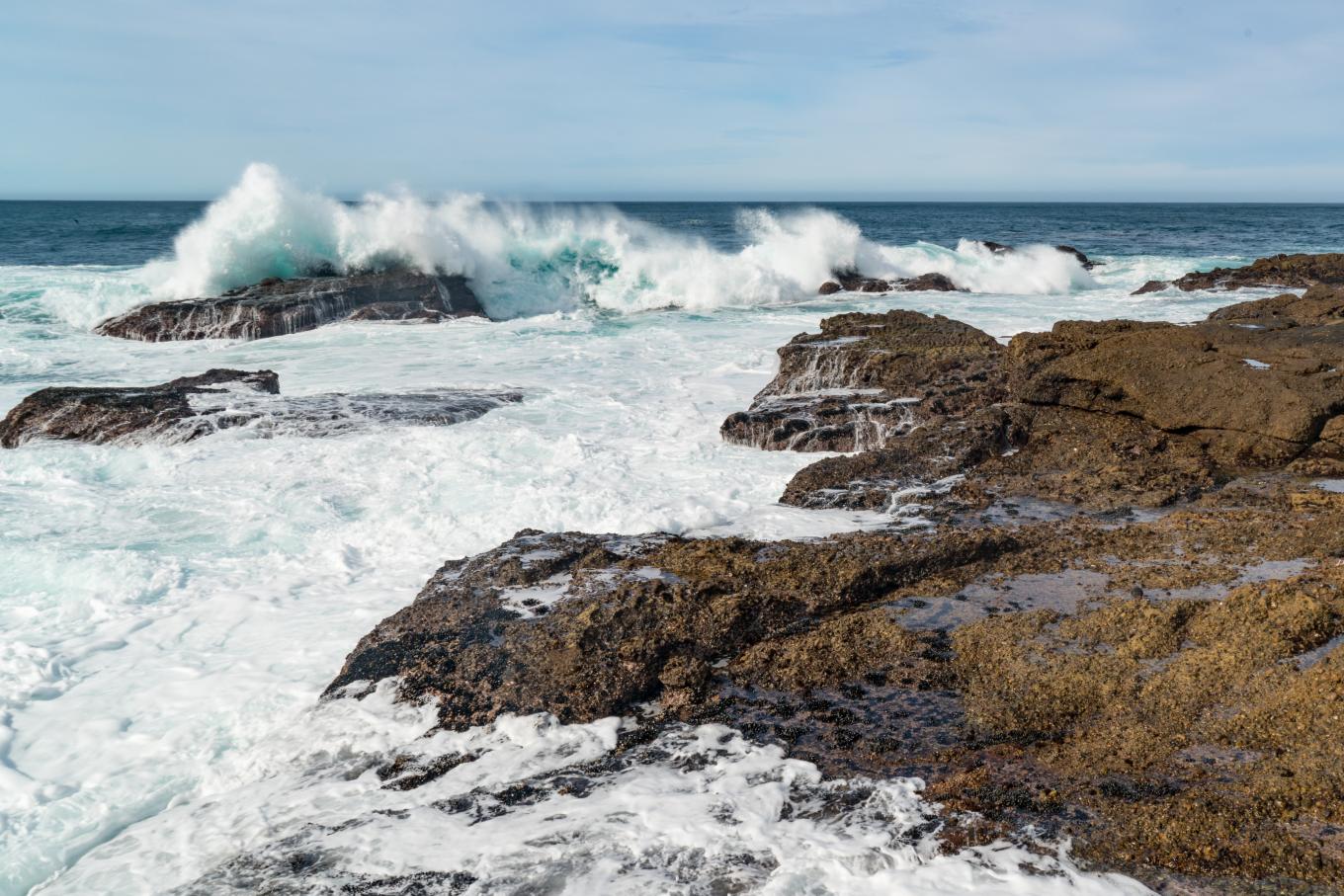 Point Lobos Waves