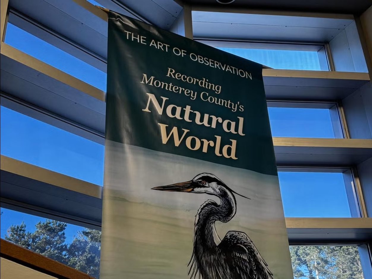 A banner that says "The Art of Observation - recording Monterey County's Natural World".