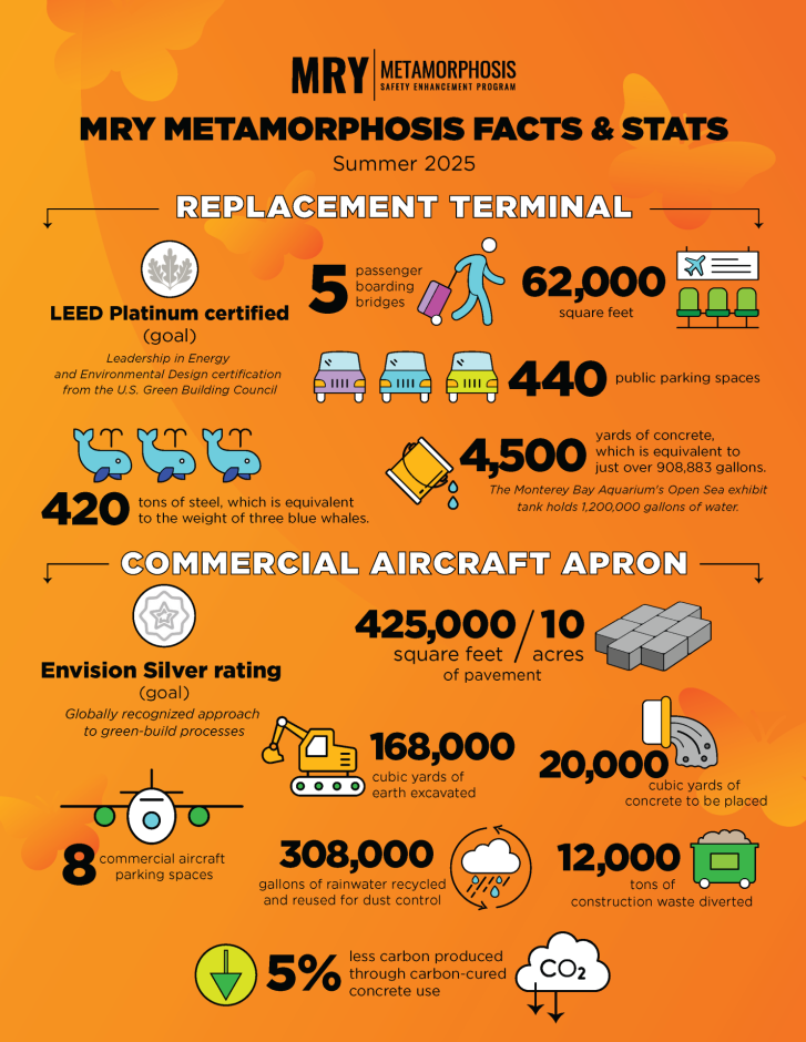 MRY Metamorphosis Facts and Stats Overview